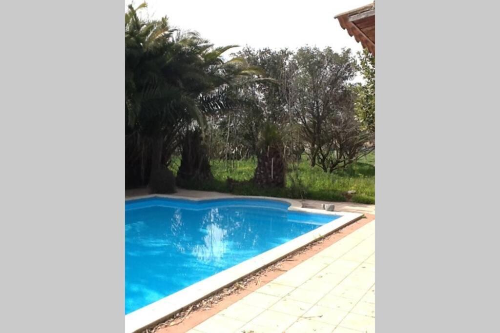 Big Relax Apartment With Swimming Pool And A Peaceful Garden In A Private Villa Sestu Εξωτερικό φωτογραφία