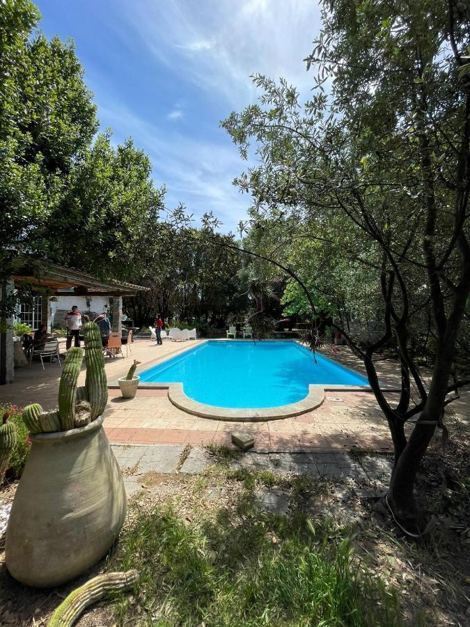 Big Relax Apartment With Swimming Pool And A Peaceful Garden In A Private Villa Sestu Εξωτερικό φωτογραφία