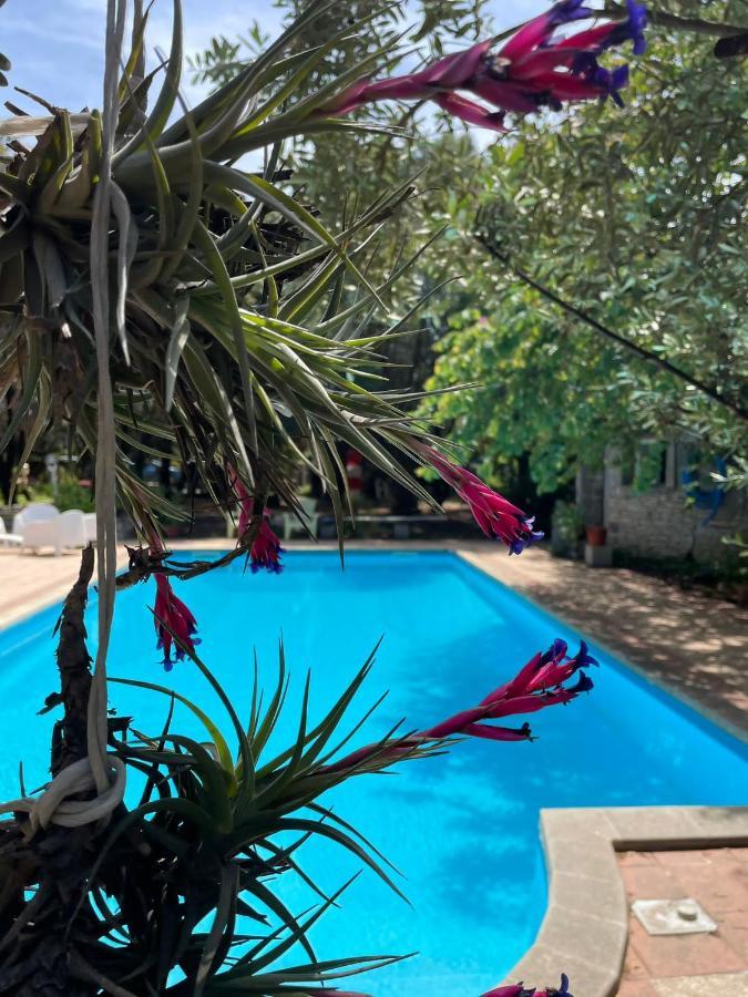 Big Relax Apartment With Swimming Pool And A Peaceful Garden In A Private Villa Sestu Εξωτερικό φωτογραφία